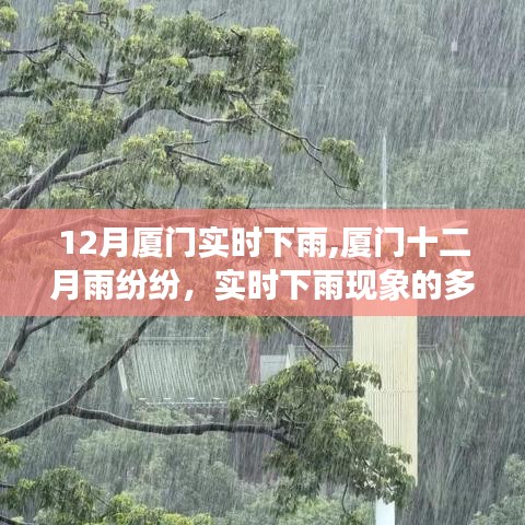 厦门十二月雨情实录，多维解读实时下雨现象