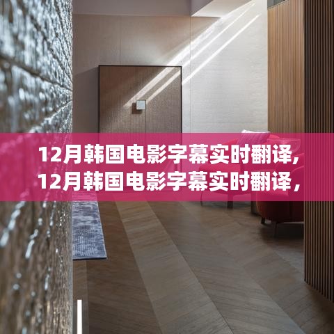 12月韩国电影字幕实时翻译，光影世界的文化交融魅力