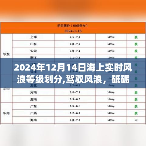 驾驭风浪砥砺前行，揭秘海上实时风浪等级划分背后的励志故事