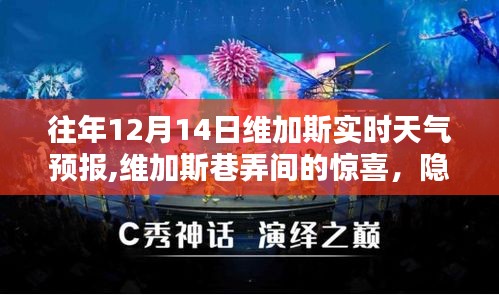 维加斯巷弄探秘，十二月十四日天气预报与隐藏特色小店