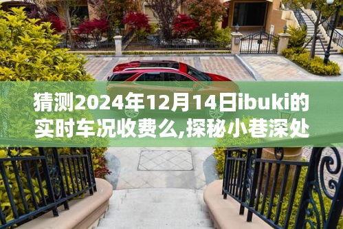 探秘小巷深处的隐藏宝藏，ibuki车况实时查询服务站，猜测2024年12月14日收费情况揭秘
