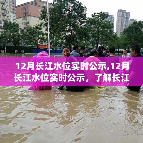 长江水位实时公示，了解水位变化，守护家园安全