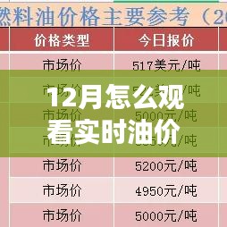 12月实时油价行情观看指南，多维度解析与个人观点