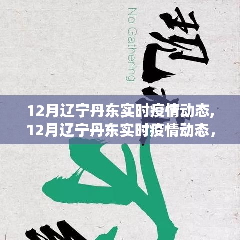辽宁丹东实时疫情动态更新，全面防控，共筑健康防线