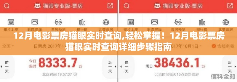 12月电影票房猫眼实时查询攻略，轻松掌握最新数据