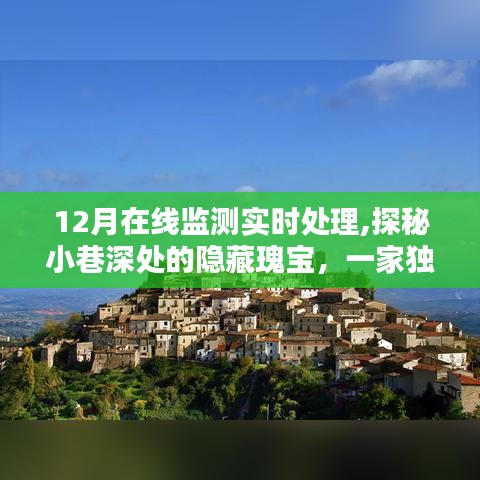 探秘小巷深处的独特在线监测实时处理小店，十二月实时处理之旅