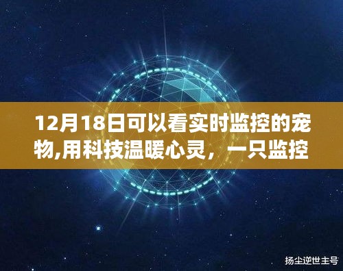 科技监控下的励志宠物，温暖心灵，激发学习与成长勇气