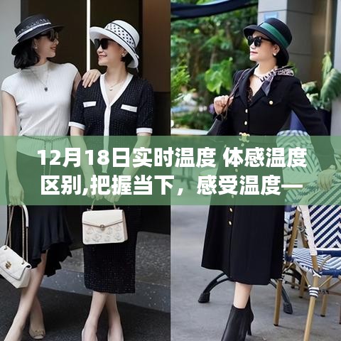 从实时温度到体感温度的成长之旅，深度解析温度差异与感受体验