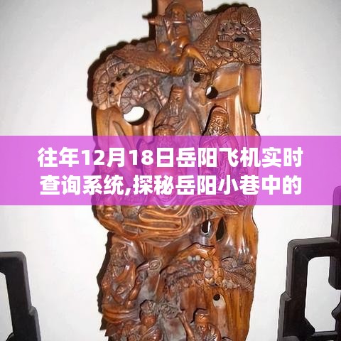 岳阳飞行梦想实现地，12月18日飞机实时查询系统揭秘