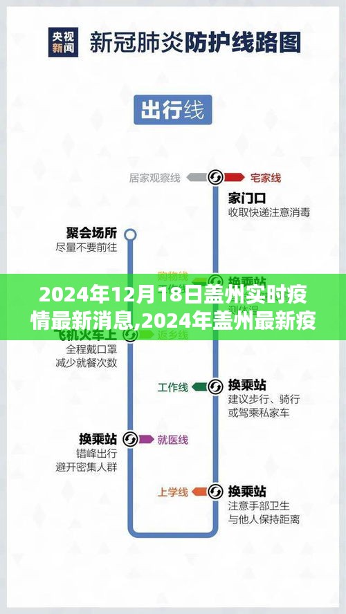 2024年盖州实时疫情最新消息获取指南，初学者与进阶用户适用