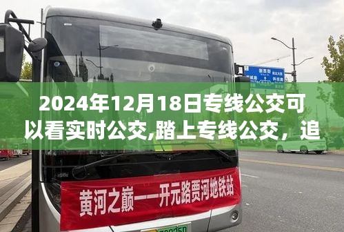 追寻宁静与自然，2024年实时专线公交之旅