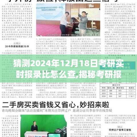 揭秘考研报录比查询方法，心灵与自然的美景之旅考研备考指南（2024年考研实时报录比查询）