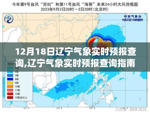 辽宁气象实时预报查询指南，适用于初学者与进阶用户的预报查询详解