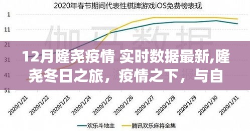 隆尧疫情实时数据更新，疫情之下的冬日之旅与自然共舞新篇章