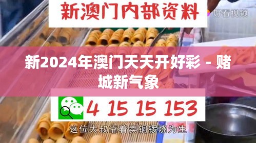 新2024年澳门天天开好彩 - 赌城新气象