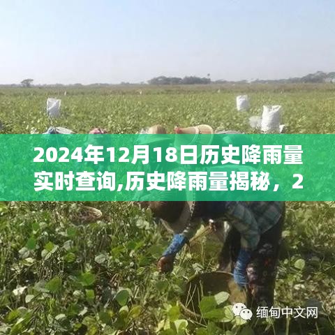 揭秘2024年12月18日历史降雨量与天空水之舞