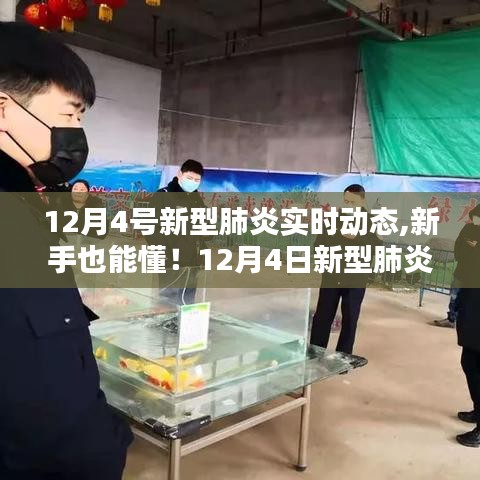 新手也能懂！全面解析与应对策略指南，12月4日新型肺炎实时动态