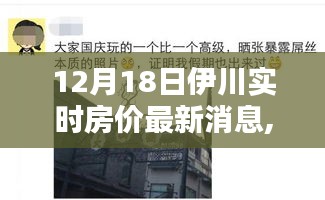 揭秘最新动态，伊川房价走势与小巷特色小店魅力