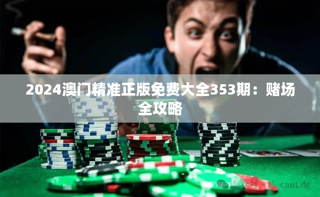 2024澳门精准正版免费大全353期：赌场全攻略