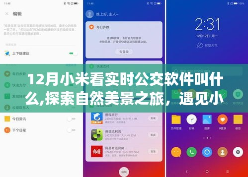 小米实时公交导航，启程探索自然美景，寻找宁静的心灵圣地