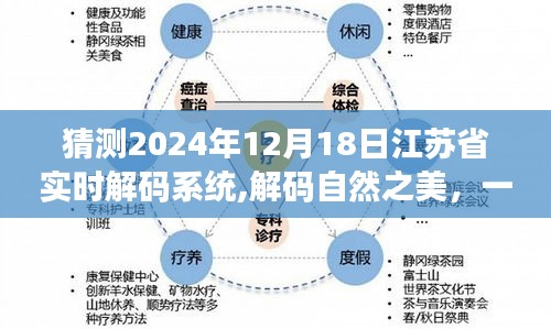 江苏省实时解码系统解码自然之美，心灵之旅的预测之旅展望2024年未来展望