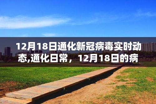 12月18日通化新冠病毒实时动态，病毒轻语与暖心日常