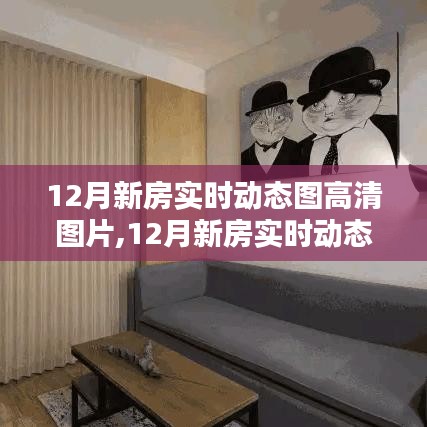12月新房实时动态图高清图片，产品评测与详细介绍
