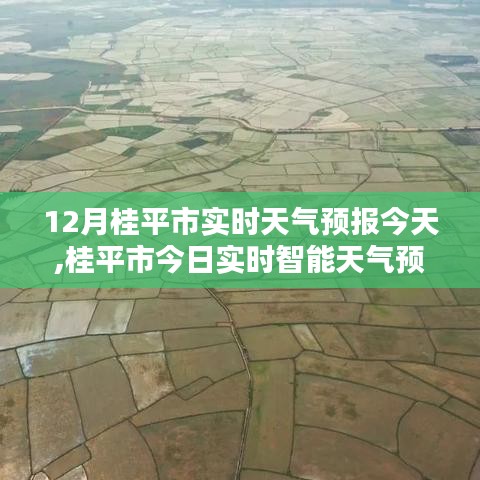 桂平市今日实时智能天气预报，科技引领未来天气体验