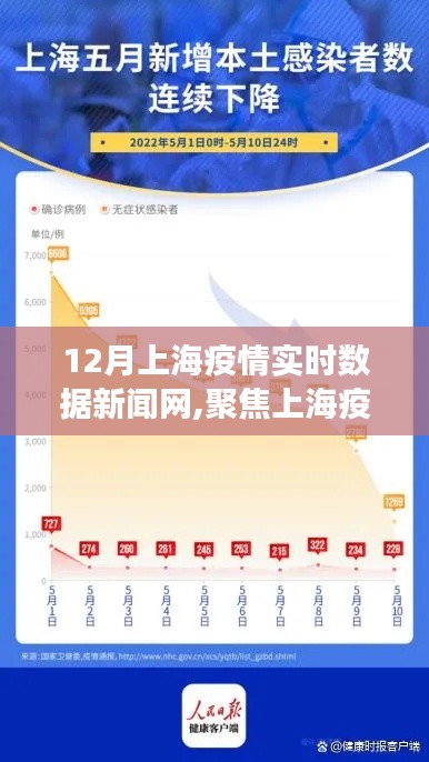 上海疫情实时数据深度解读，进展与防控措施聚焦分析