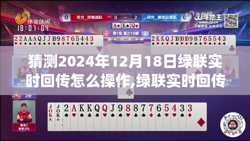 2024年12月18日绿联实时回传操作指南，心灵与自然的奇妙探险之旅