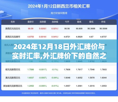 心灵平静之旅，揭秘外汇牌价背后的故事与实时汇率探索