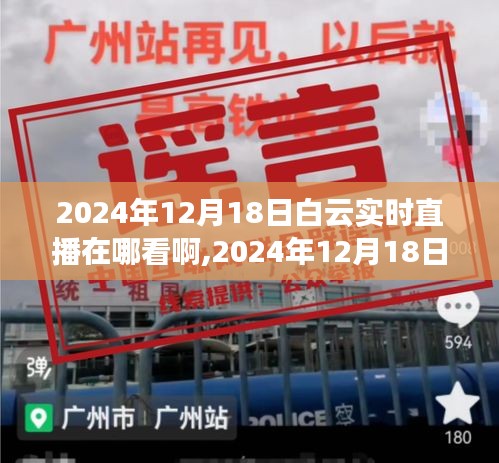 2024年12月18日白云实时直播观看指南，如何观看直播