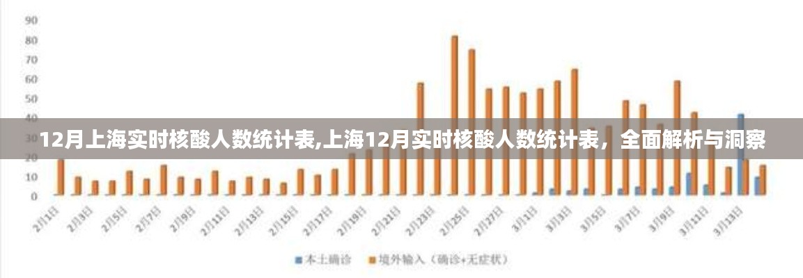上海实时核酸人数统计表深度解析，洞察十二月数据报告