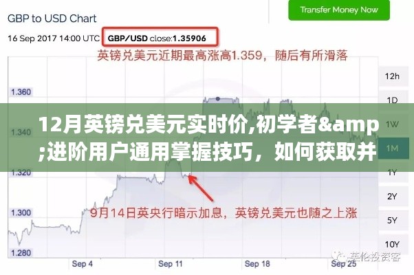 寥若晨星 第3页