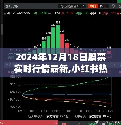 小红书揭秘，最新股票实时行情动态与财富先机（2024年12月18日）