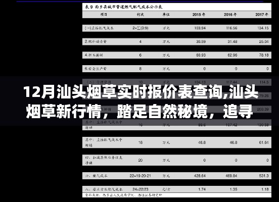 汕头烟草实时报价表查询与追寻心灵宁静的自然之旅