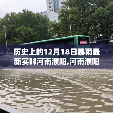 河南濮阳暴雨灾害应对指南，历史背景与实时应对进展