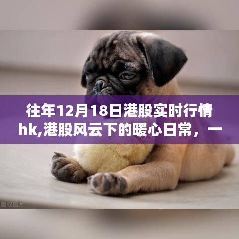 港股风云下的暖心日常，友情与陪伴的故事在港股实时行情中展开
