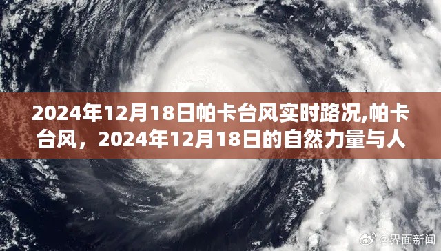 帕卡台风实时路况，自然力量与人文挑战交汇于2024年12月18日