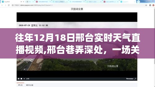 鸢飞鱼跃 第3页