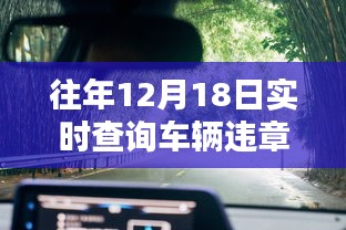 探秘特色小店，车辆违章实时查询秘境，繁华小巷中的隐秘服务点