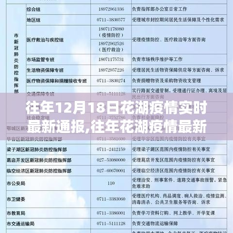 往年花湖疫情实时更新指南，最新通报与查询步骤（适用于初学者与进阶用户）
