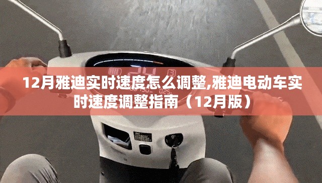 雅迪电动车实时速度调整指南（适用于十二月）