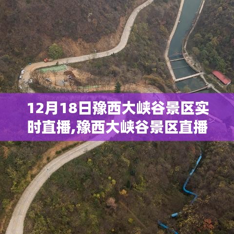 豫西大峡谷景区直播游，详细指南与美景领略日纪实