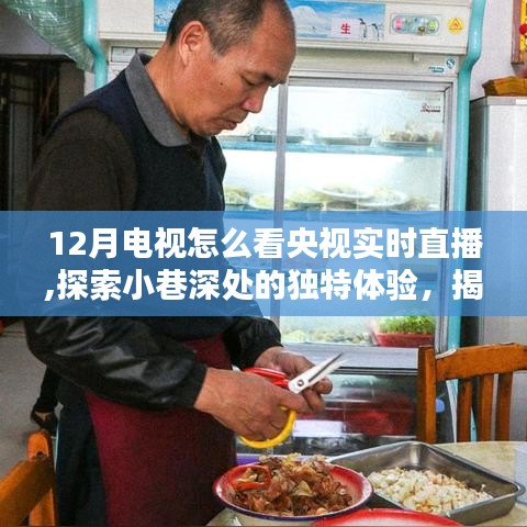 央视直播观看指南，探索小巷深处的特色小店，品味隐藏版独特体验