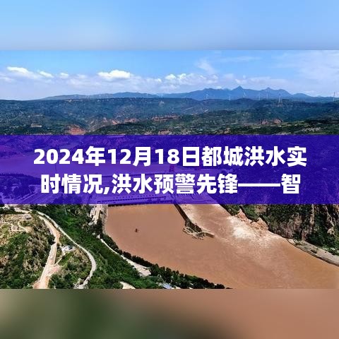 智能洪水监测系统在未来的展望，2024年洪水预警与实时情况分析（都城洪水篇）
