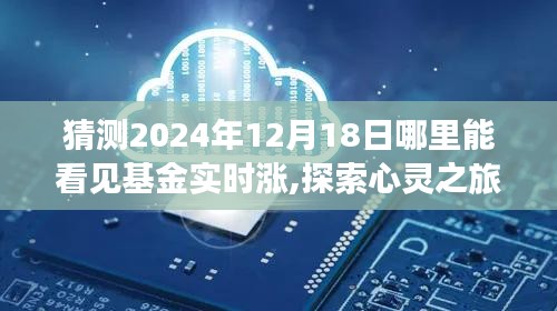 探索心灵之旅与基金增长预测，未来日期基金实时动态及心灵宁静胜地的探寻