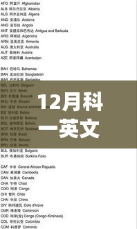 12月科一英文缩写下的实时交通与自然美景探索之旅，心灵宁静的追寻之路
