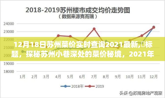 探秘苏州菜价秘境，2021年最新菜价实时查询之旅（苏州菜价最新动态）