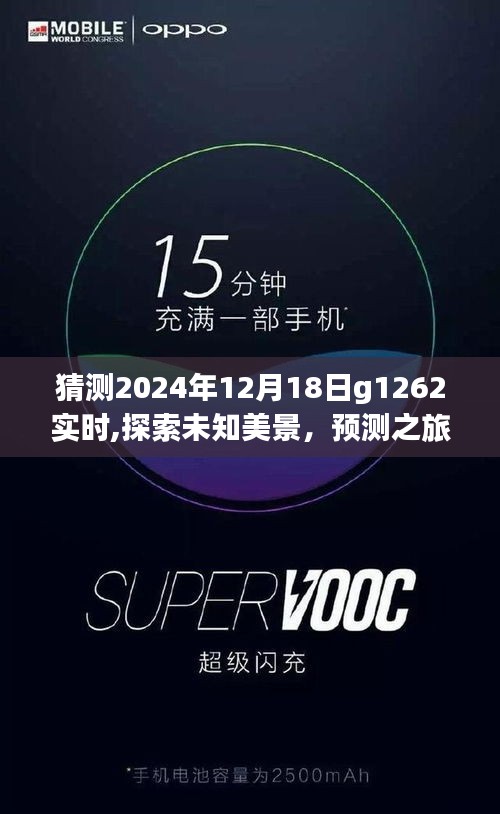 预测之旅至G1262，探索未知美景的奇妙旅程至2024年12月18日